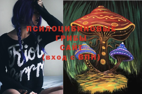 бутират Нязепетровск