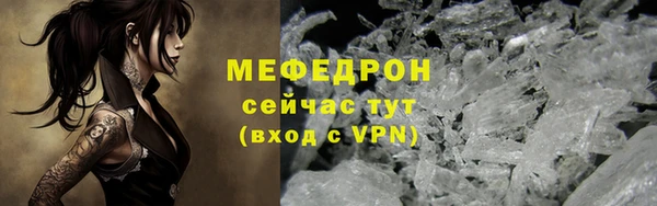 сатива Новозыбков