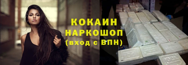 тгк Няндома