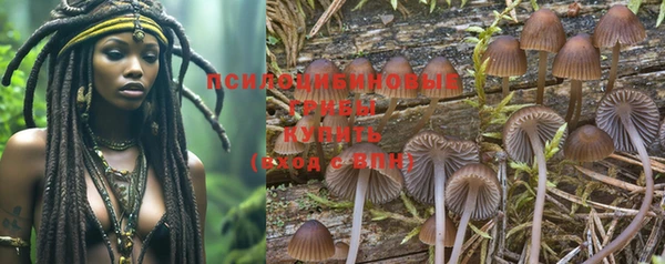 тгк Няндома