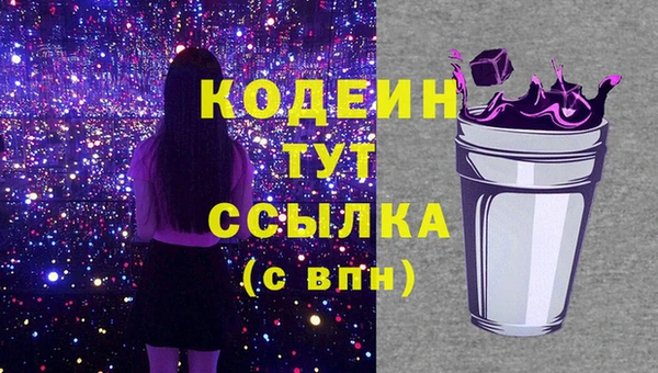прущие грибы Каменка
