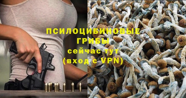 кокс Нягань
