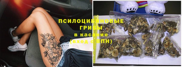 тгк Няндома