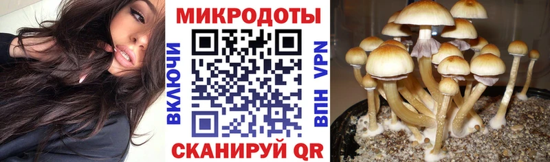 Псилоцибиновые грибы GOLDEN TEACHER  цена наркотик  Кубинка 