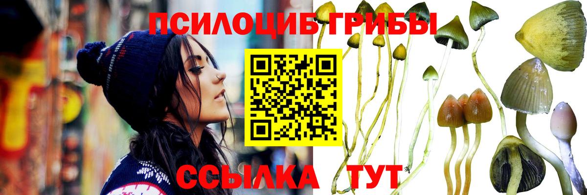 Псилоцибиновые грибы Magic Shrooms Кубинка